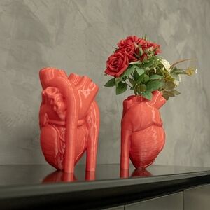 Red Anatomical Heart Vase